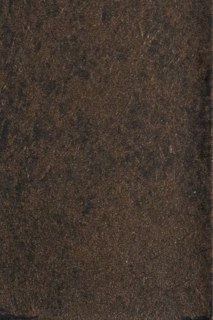 Medium Bronze Color Option